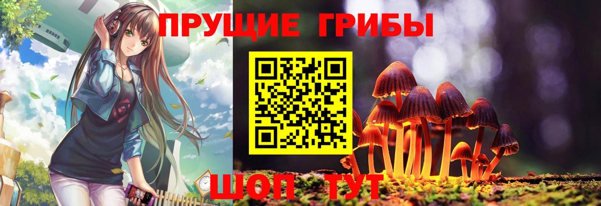 Сызрань  Псилоцибиновые грибы прущие грибы  Галлюциногенные грибы прущие грибы  Вход с VPN 