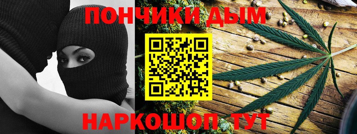 Канабис планчик  Канабис сатива  Сызрань  Бошки марихуана марихуана  Вход с VPN 
